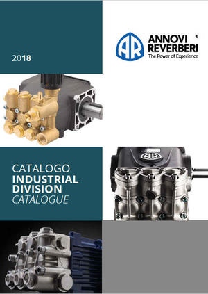 766008 300x423%23 0751 copertina industria 2018